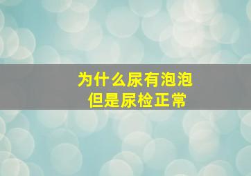 为什么尿有泡泡 但是尿检正常